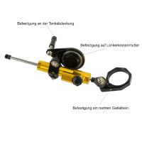 Steering Damper with Mounting Kit for model: Kawasaki Z 1000 D ZRT00D 2012